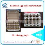 Paper Apple Trays Manufacture Egg Trays thumbnail-3