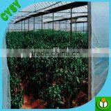 High Quality Woven Fabric Tarpaulin /HDPE Transparent Tarpaulin Fruit Cover Film With Competitive Price thumbnail-2