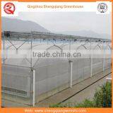 Agriculture Equipment Multi-span 6.0m PO Film Greenhouse for Sale thumbnail-4