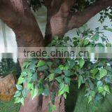 Whole Sale Artificial Birch Tree for Decoration thumbnail-3