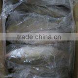 Frozen Sea Bass thumbnail-3