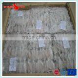 BQF Baby Squid Block Frozen thumbnail-5