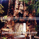 Artificial Tree Interior Decorative Artificial Tree Hole thumbnail-2