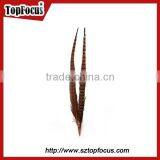 High Quality for Showgirl Carnival Costume Ringneck Tail Pheasant Feathers thumbnail-4