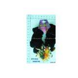 Sell Hair Elastic thumbnail-1