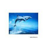 Sell Landscape Picture thumbnail-1