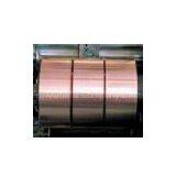 Supply UNS.C17200 Beryllium Copper strip