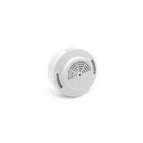 Wall Mounted Natural Smoke Alarm Detector , LPG Gas Detector