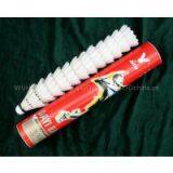 Shuttlecock Singapore thumbnail-1