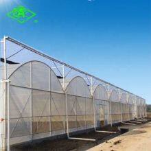 Agriculture Greenhouse Film Tomato And Strawberry Multi Span Dedicated White Po Greenhouse Film thumbnail-3