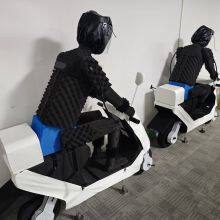 BYD Fake Human and Fake Car Experimental Model Production Factory thumbnail-2