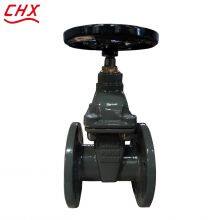 BS Gate Valve Cast Iron Ductile Iron GGG50 GG25 PN16 Flange Gate Valve Non Rising Stem Soft Seal Gate Valve thumbnail-6