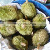 Durian thumbnail-2
