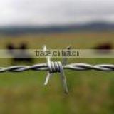 Barbed Iron Wire(manufacturer)