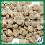 Best Price Arabica Green Coffee Beans thumbnail-3