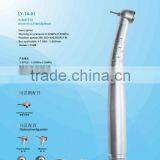 Dental Model LY-14-01