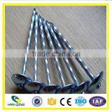 Roofing Nail Factory 3 Inch Electro Galvanized Twisted Shank thumbnail-6
