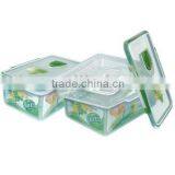 Rectangle Transparent Lunchbox