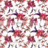 Water Transfer Printing Film GY434