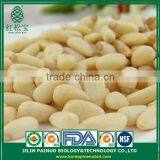 Bulk Continous Supply Brand Name Korean Pine Nut Kernels on Diet thumbnail-3