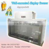 Wall-mounted Display Freezer