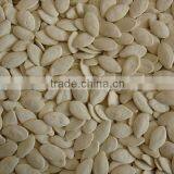 Salt snowwhite pumpkin seeds