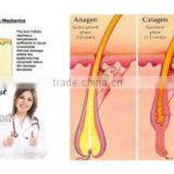 Best Choice Aroma Diode Laser With Fast Hair Removal Technology in Usa thumbnail-4