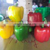 FRESH CAPSICUMS From Viet Nam thumbnail-2
