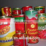 28-30% Cold Break Tomato Paste Factory China thumbnail-5
