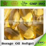 GMP ISO High Quality Borage Oil Softgel Capsule thumbnail-2