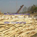 Wood Debarker Machine Wood Peeling Machine BARKING MACHINE thumbnail-1