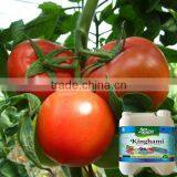 Vigoroot NPK Liquid Fertilizer Organic Fertilizer thumbnail-3