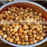 Junlan Machinery Fruit Vegetable Walnut Cleaning Machine +8618637188608 thumbnail-2