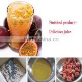 NEWEEK 0.5-5t/h 3 Function Passion Fruit Juice Pulp Making Machine Price thumbnail-4