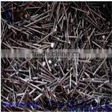 All Kinds of Standard Black Concrete Nail Concrete Steel Nail thumbnail-4