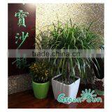 Square Plastic Flower Pot Liners thumbnail-1