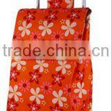 Foldable Shopping Trolley thumbnail-1