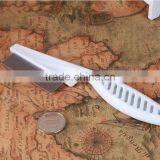 2015 New Product Stylish Design Dog Massage Pet Grooming Brush thumbnail-6