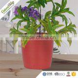 New Designed High Quality Flower Pots _ GreenShip thumbnail-4