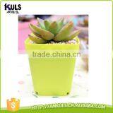 Wholesale Colorful Cheap Mini Plastic Flower Pots thumbnail-2