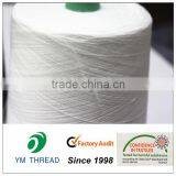 Supply Raw 100% Polyester Spun Knitting Yarn 30/ for Socks