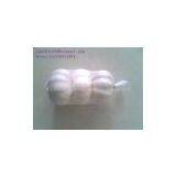 Normal White Garlic (3pcs/small Bag in 10kg/ctn) thumbnail-1