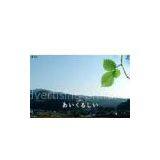 Digital Glossy Photo Paper, PP Paper, Polyester Cloth Banner Colour Posters Printing