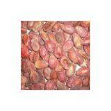 Sell Red Watermelon Seeds thumbnail-1