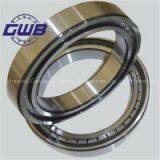 Double Row Cylindrical Roller Bearing in China