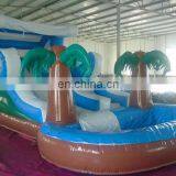 Inflatable Water Slide Water Park Slide For Sale thumbnail-3