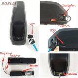 SSL-10S5P 36V 11Ah Ebike battery pack (4)