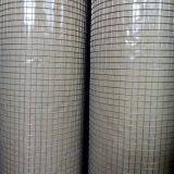 Hot Galvanized Welded Wire Mesh thumbnail-3