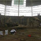 Shandong Zhucheng Dinosaur Museum thumbnail-3