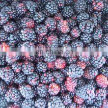 Sinocharm BRC-A Approved Fresh IQF Frozen Nutrition Blackberry With High Quality thumbnail-5